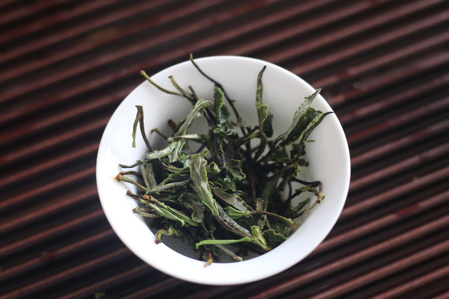 Shuixian white tea 水仙白2024
